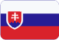 Spracovanie účtovníctva v Českej republike Slovensky
